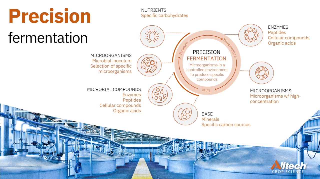 Fermentation expertise drives soil biotechnology Alltech
